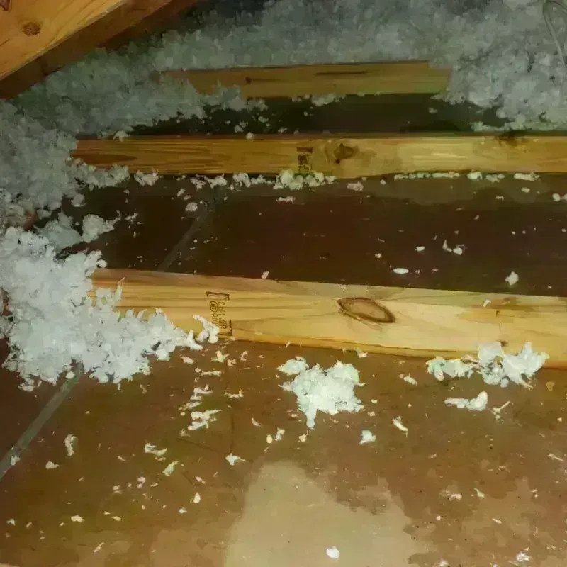 Attic Water Damage in Kilgore, TX