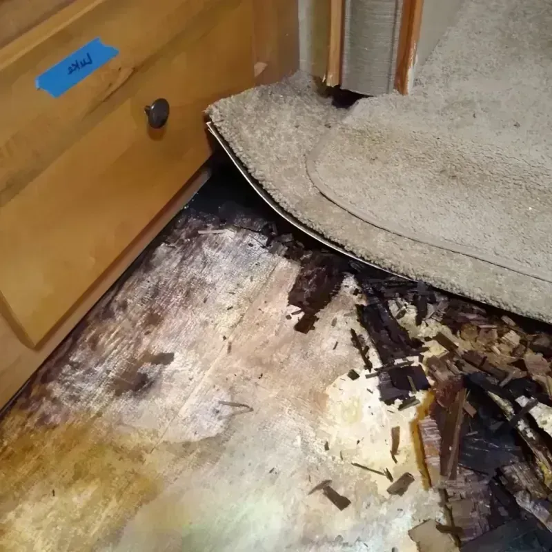 Wood Floor Water Damage in Kilgore, TX